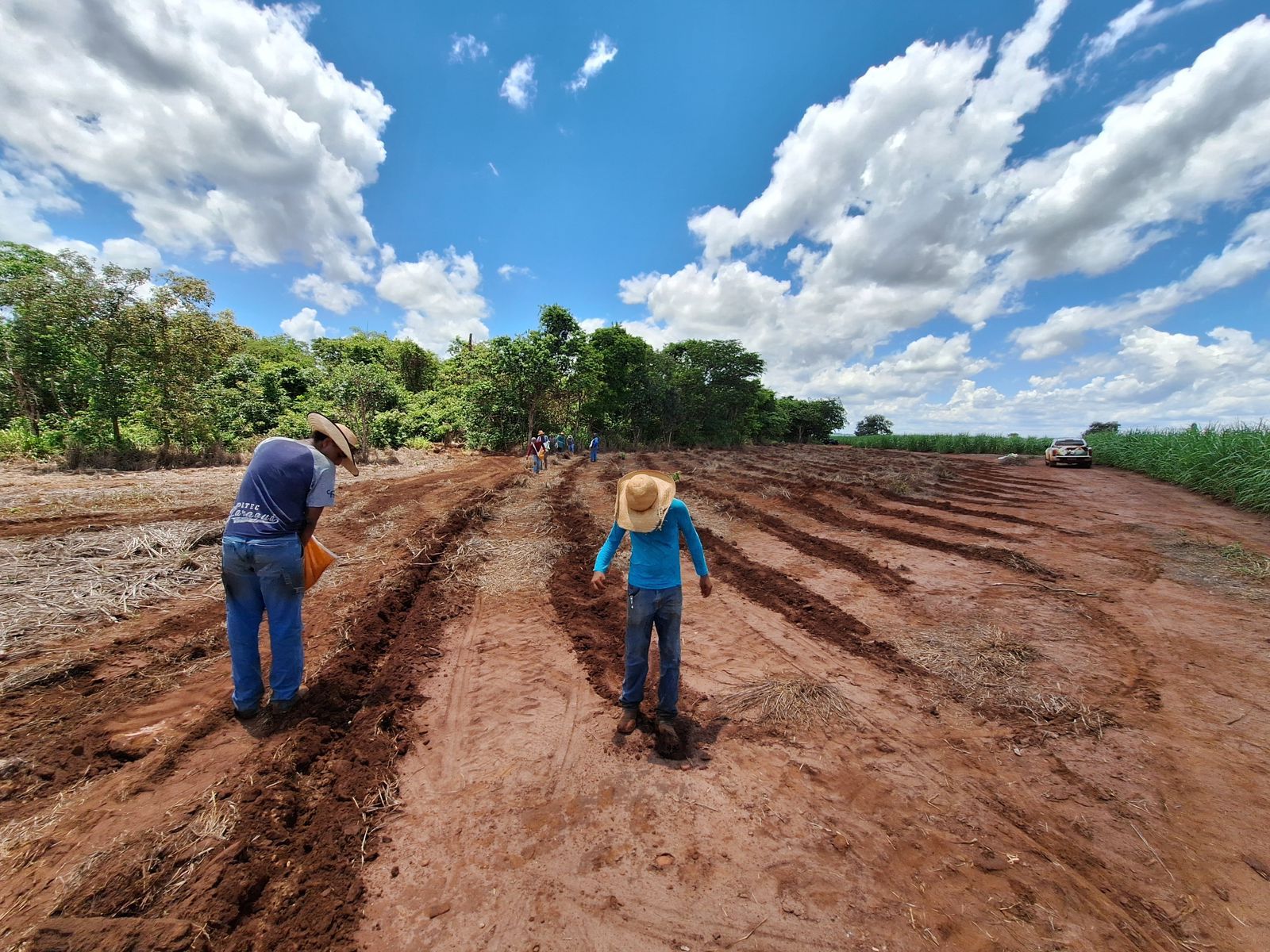 Iniciativa Caminhos da Semente realiza restauração ecológica no Triângulo Mineiro